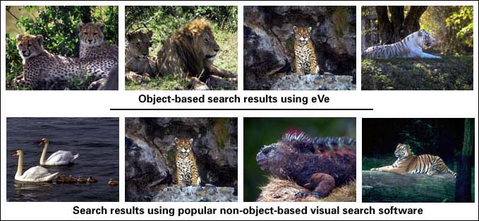 top 4 search results (eVe vs other) using a leopard query image